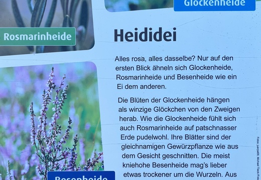 23-09-24 17-03-07 7405